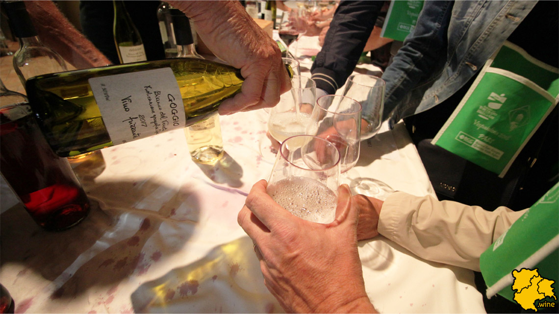 triveneto.wine: vespaiolona 2018 a breganze - vicenza